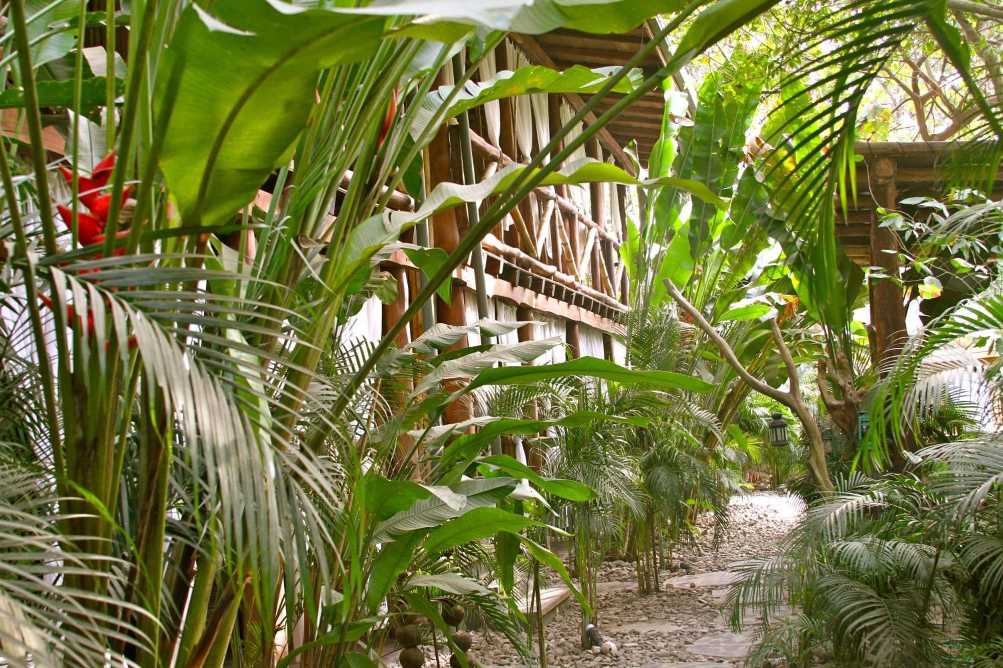 Canaima Chill House Playa Santa Teresa  Екстериор снимка