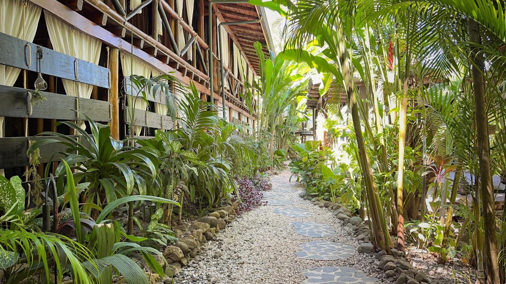 Canaima Chill House Playa Santa Teresa  Екстериор снимка