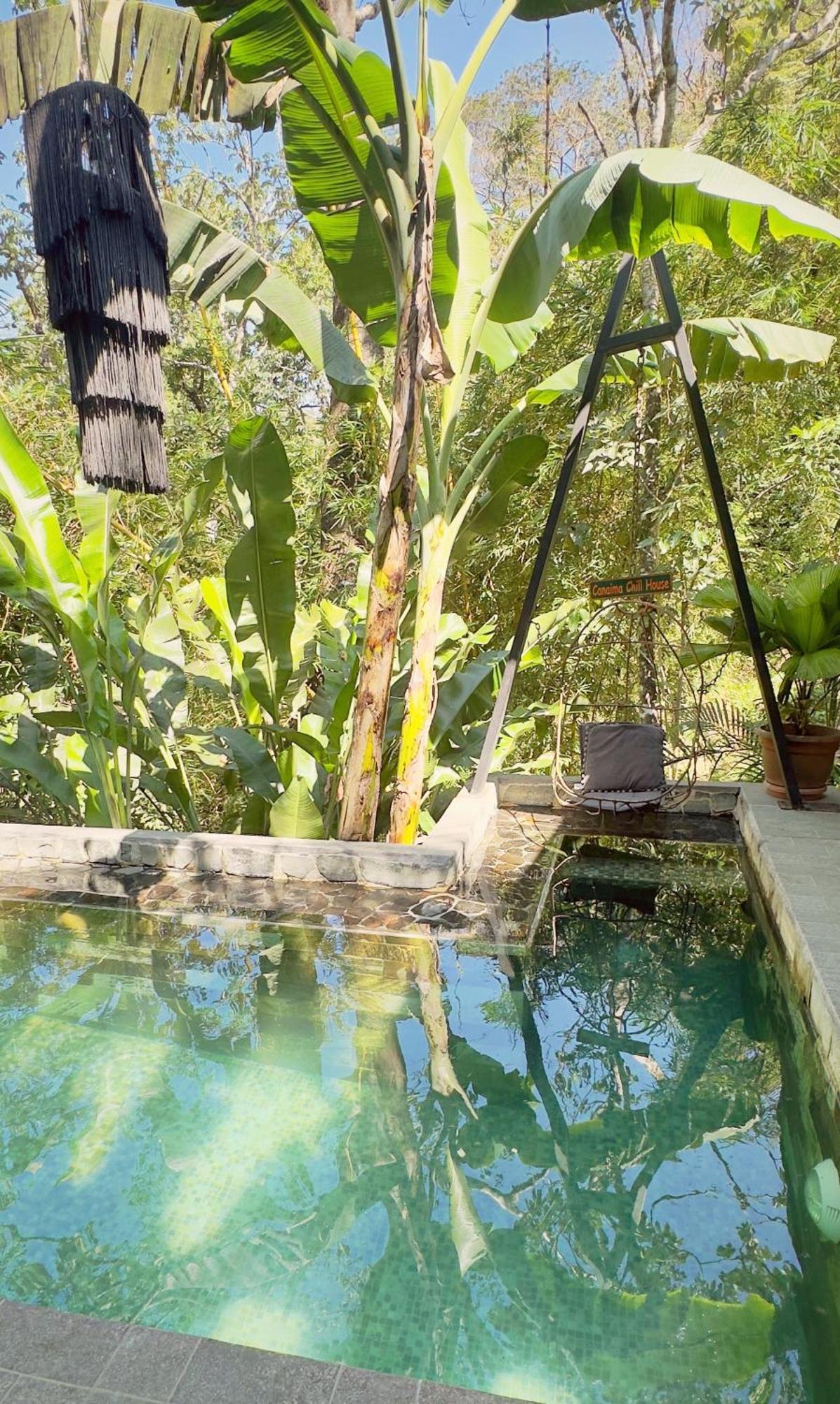 Canaima Chill House Playa Santa Teresa  Екстериор снимка